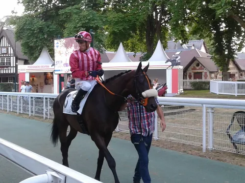 Hippisme : nos préférés pour ce samedi 23 octobre